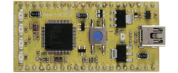 Abb.: mbed NXP LPC11U24 Modul